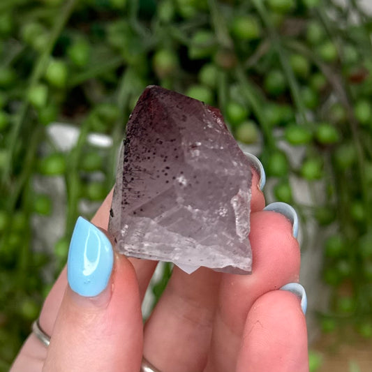 Sichuan Garden Quartz Cluster (U825)