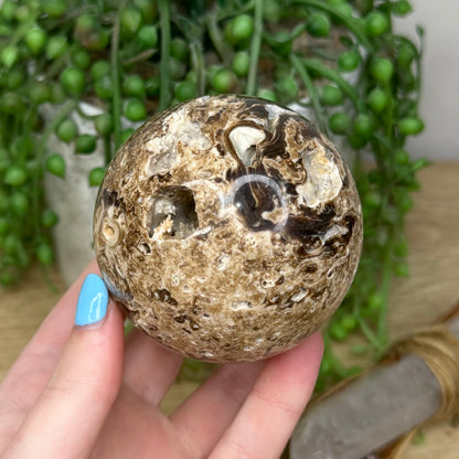 Chocolate Calcite Sphere (67A)