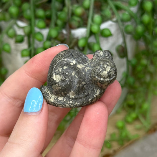 Pyrite Snail (Z764)