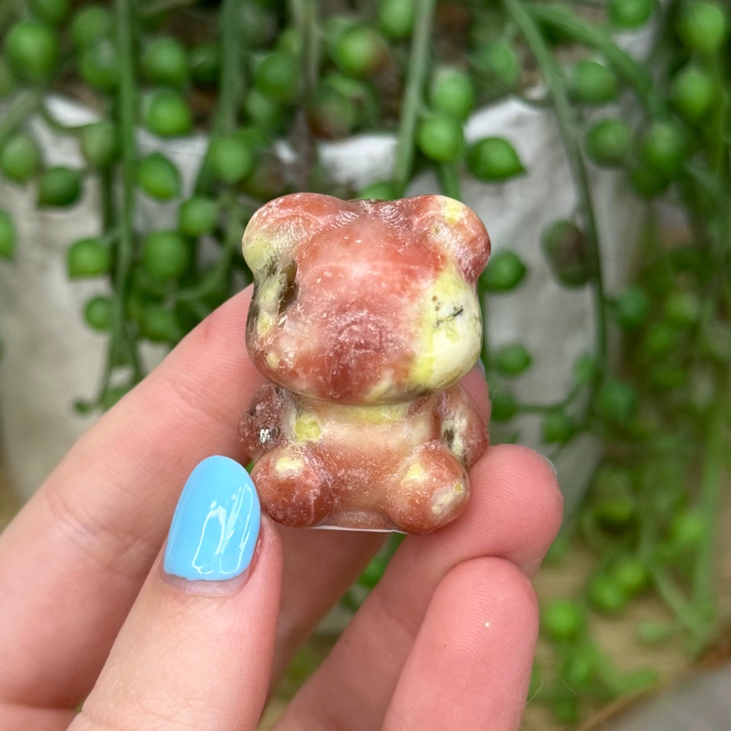 Plum Blossom Jasper Bear (Z772)