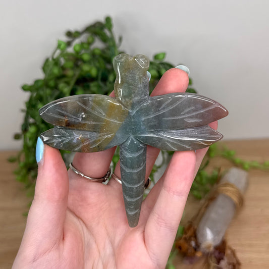 Ocean Jasper Dragonfly (U334)