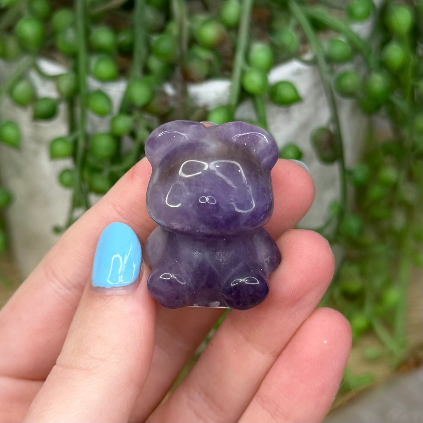 Dream Amethyst Bear (Z769)
