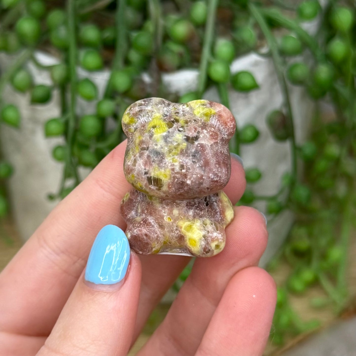 Plum Blossom Jasper Bear (Z771)