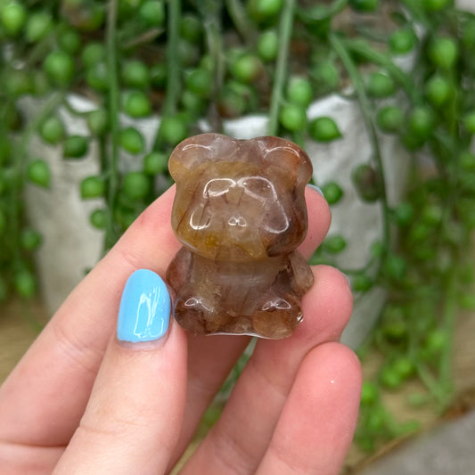 Golden Healer Bear (Z774)