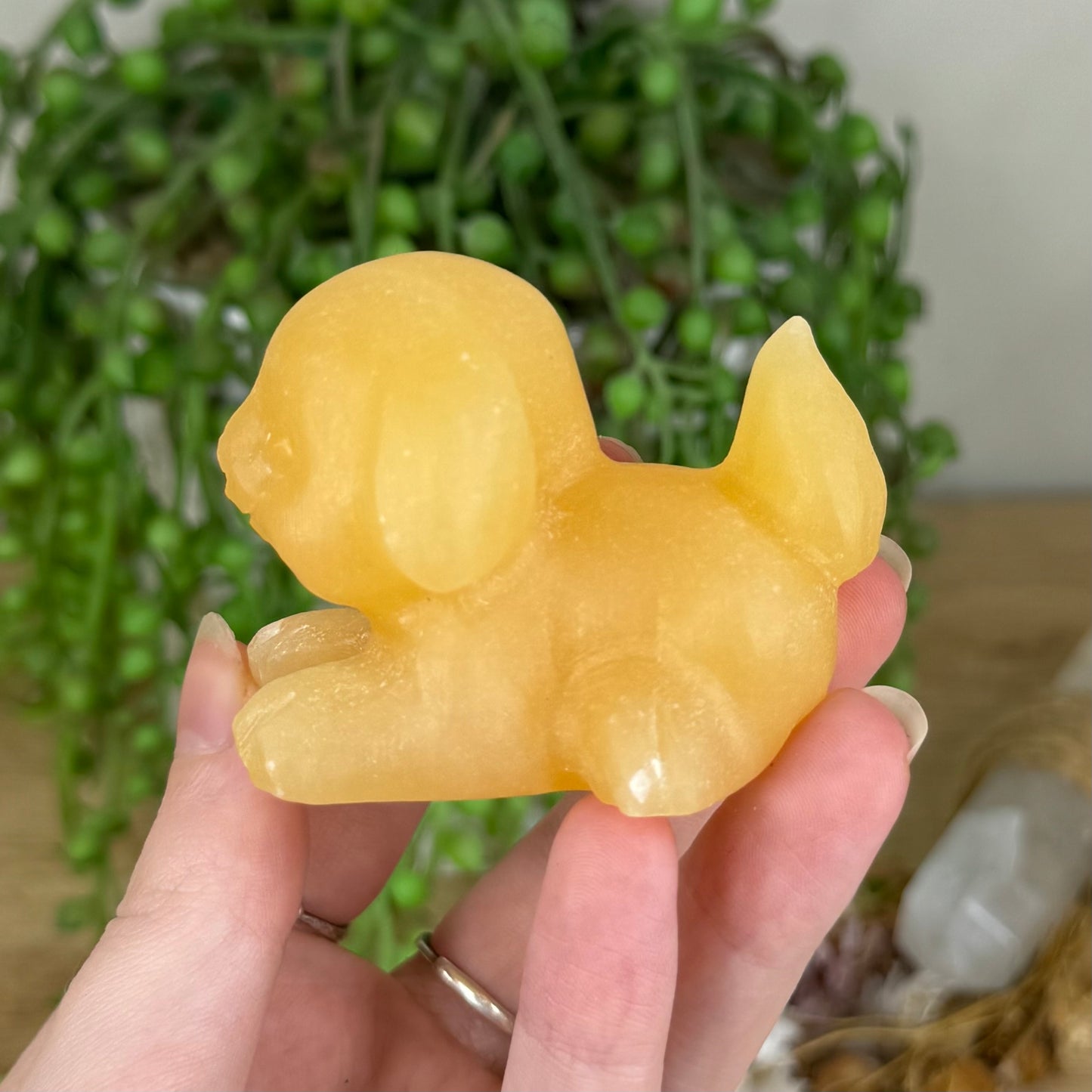 Yellow Calcite Dog (P960)