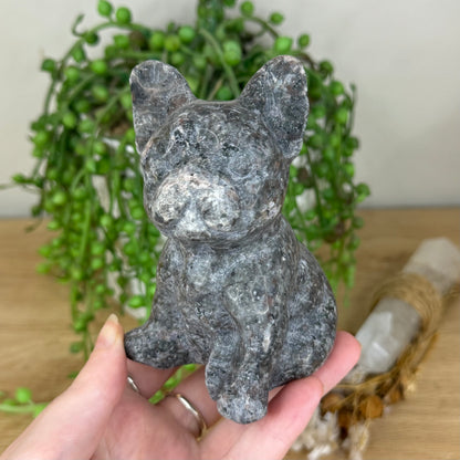 Yooperlite French Bulldog (P865)