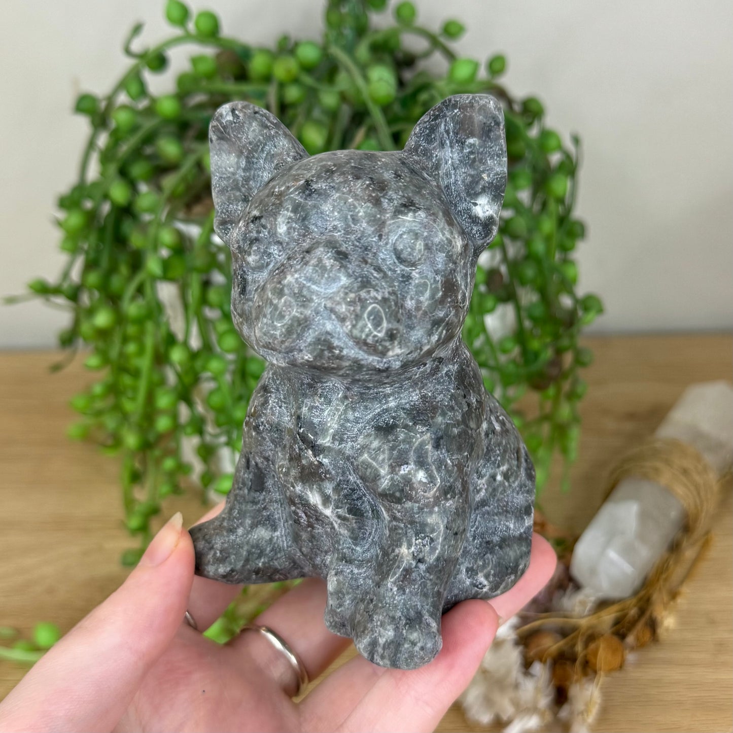 Yooperlite French Bulldog (P867)