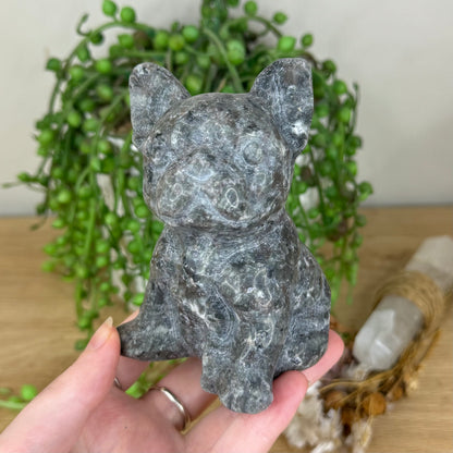 Yooperlite French Bulldog (P867)