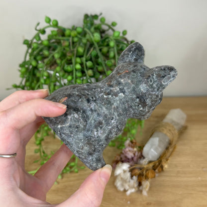 Yooperlite French Bulldog (P867)