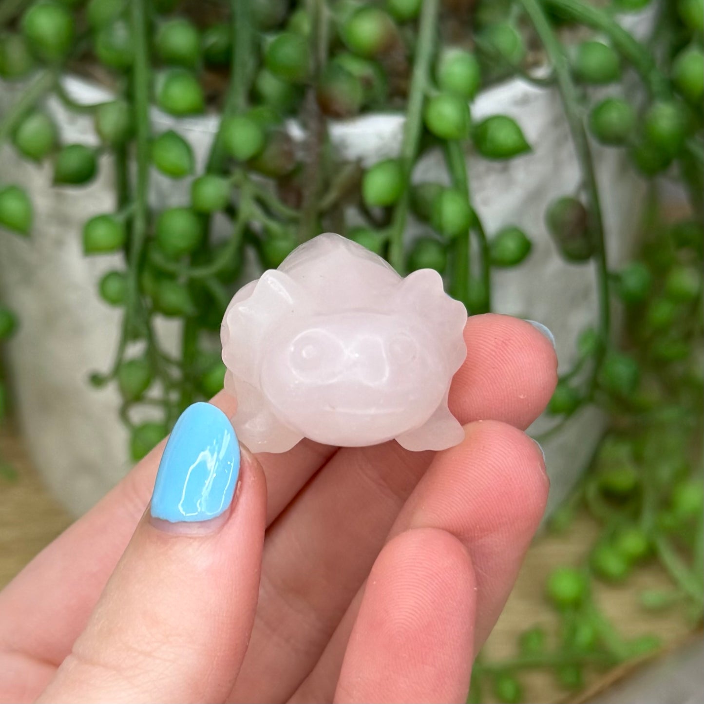 Rose Quartz Axolotl (Z980) (Z985)