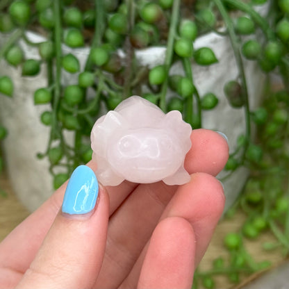 Rose Quartz Axolotl (Z980) (Z985)