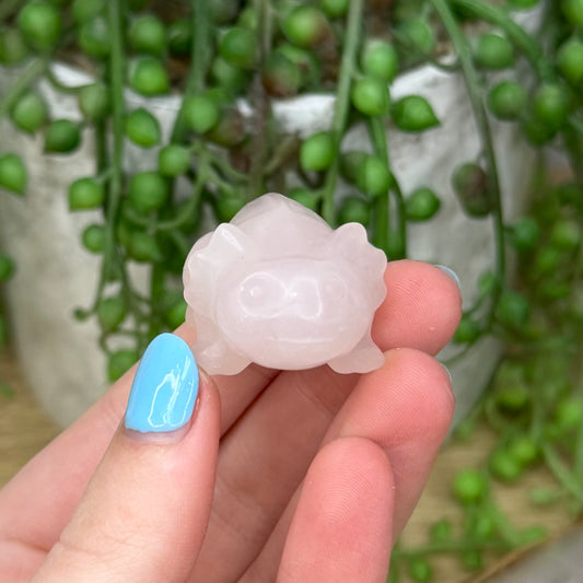 Rose Quartz Axolotl (Z980) (Z985)