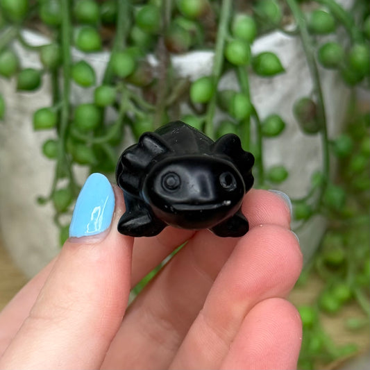 Black Obsidian Axolotl (Z978) (Z985)