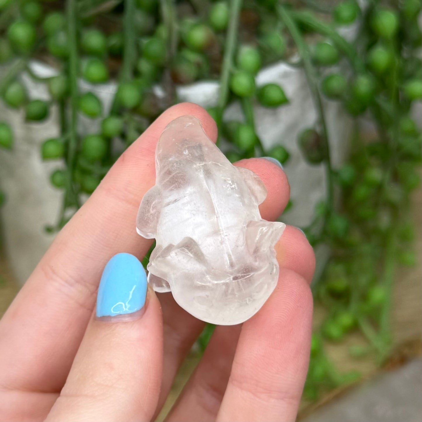 Clear Quartz Axolotl (Z977)