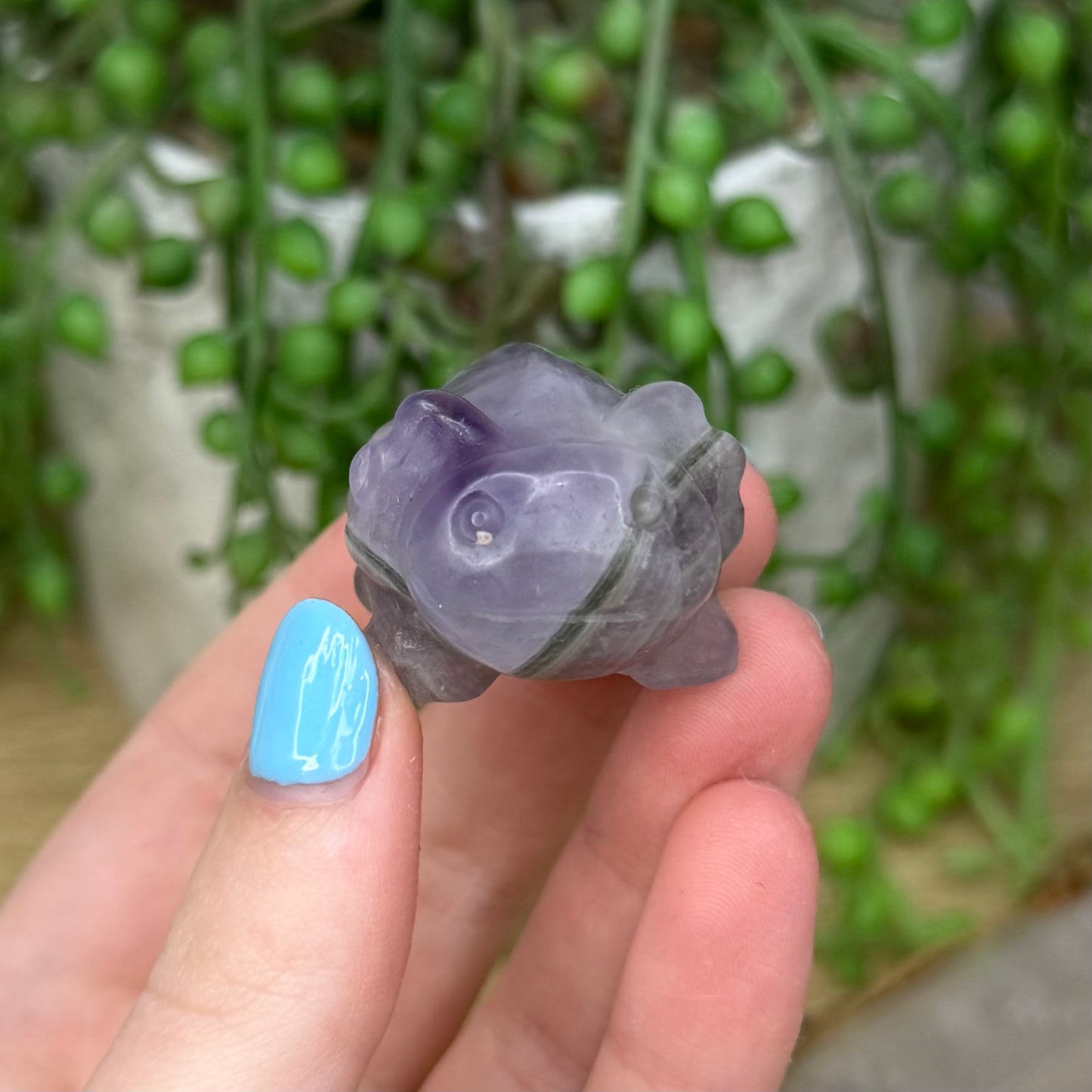 Dream Amethyst Axolotl (Z982)