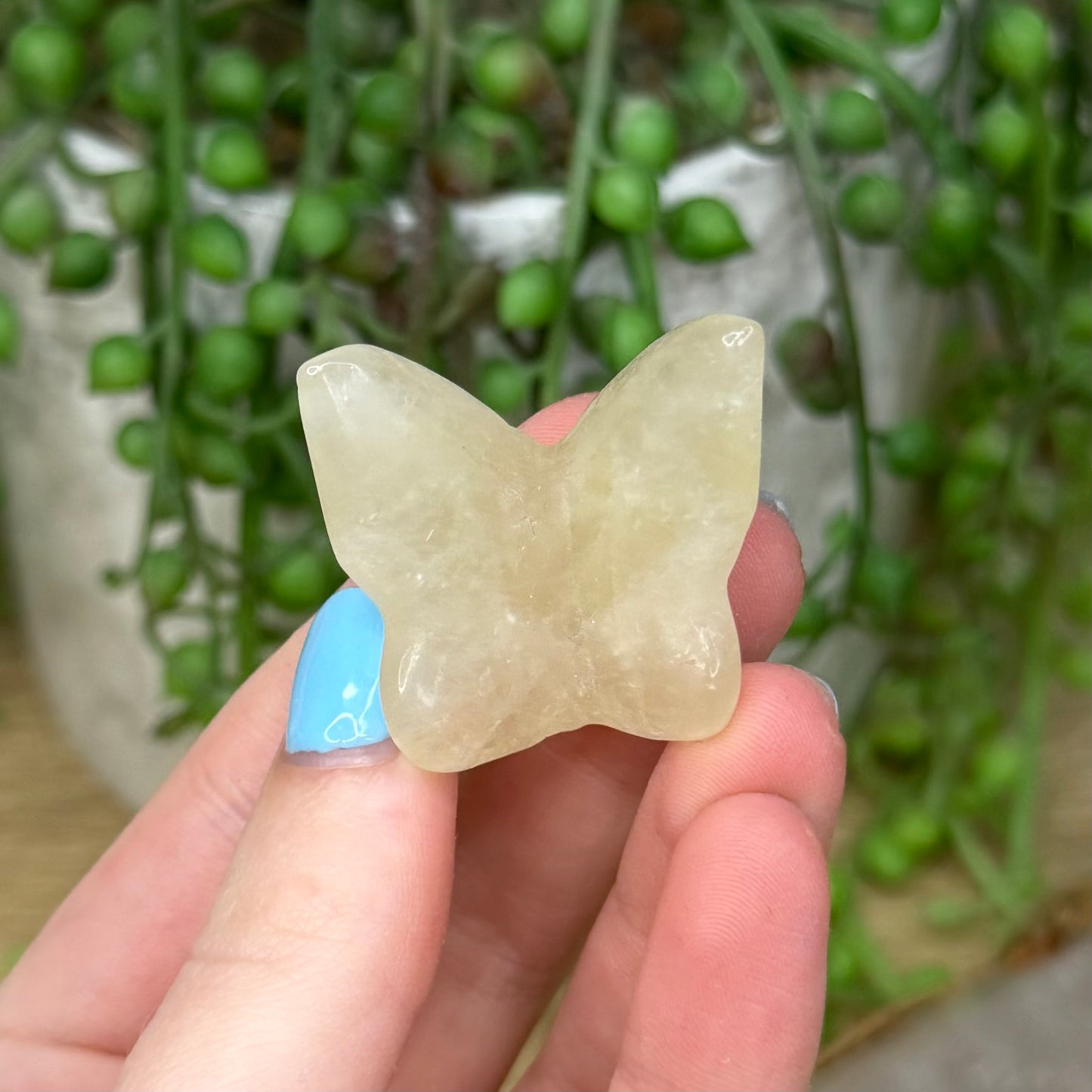 Citrine Butterfly (267A)
