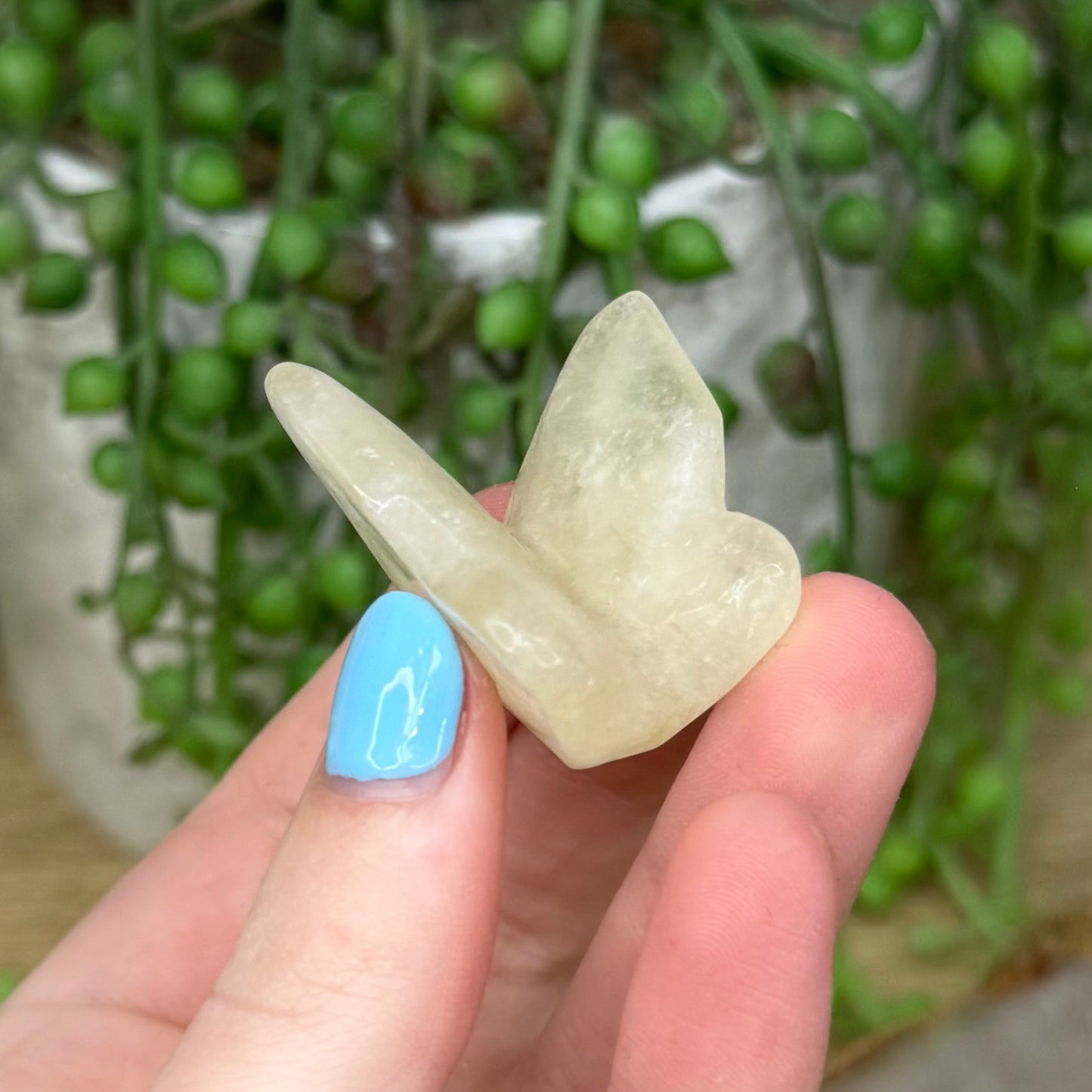 Citrine Butterfly (267A)
