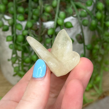 Citrine Butterfly (267A)