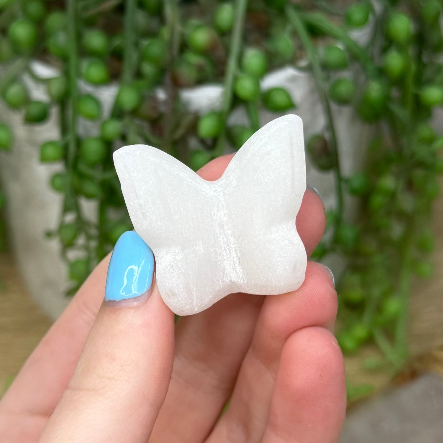 White Jade Butterfly (269A)