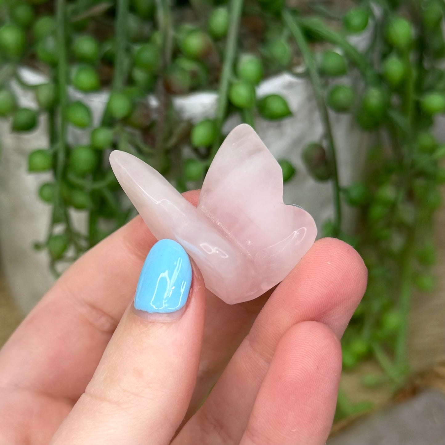 Rose Quartz Butterfly (258A)