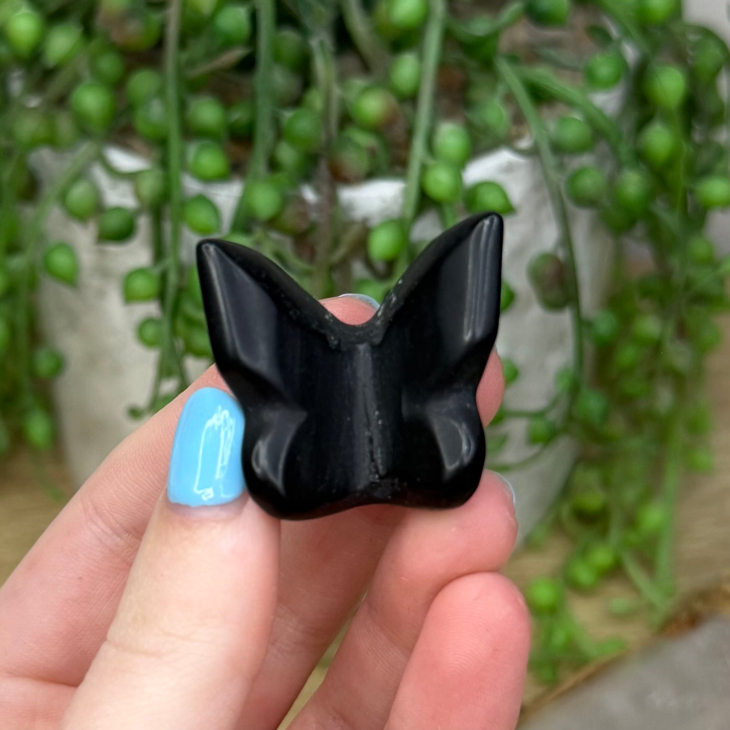 Black Obsidian Butterfly (263A)