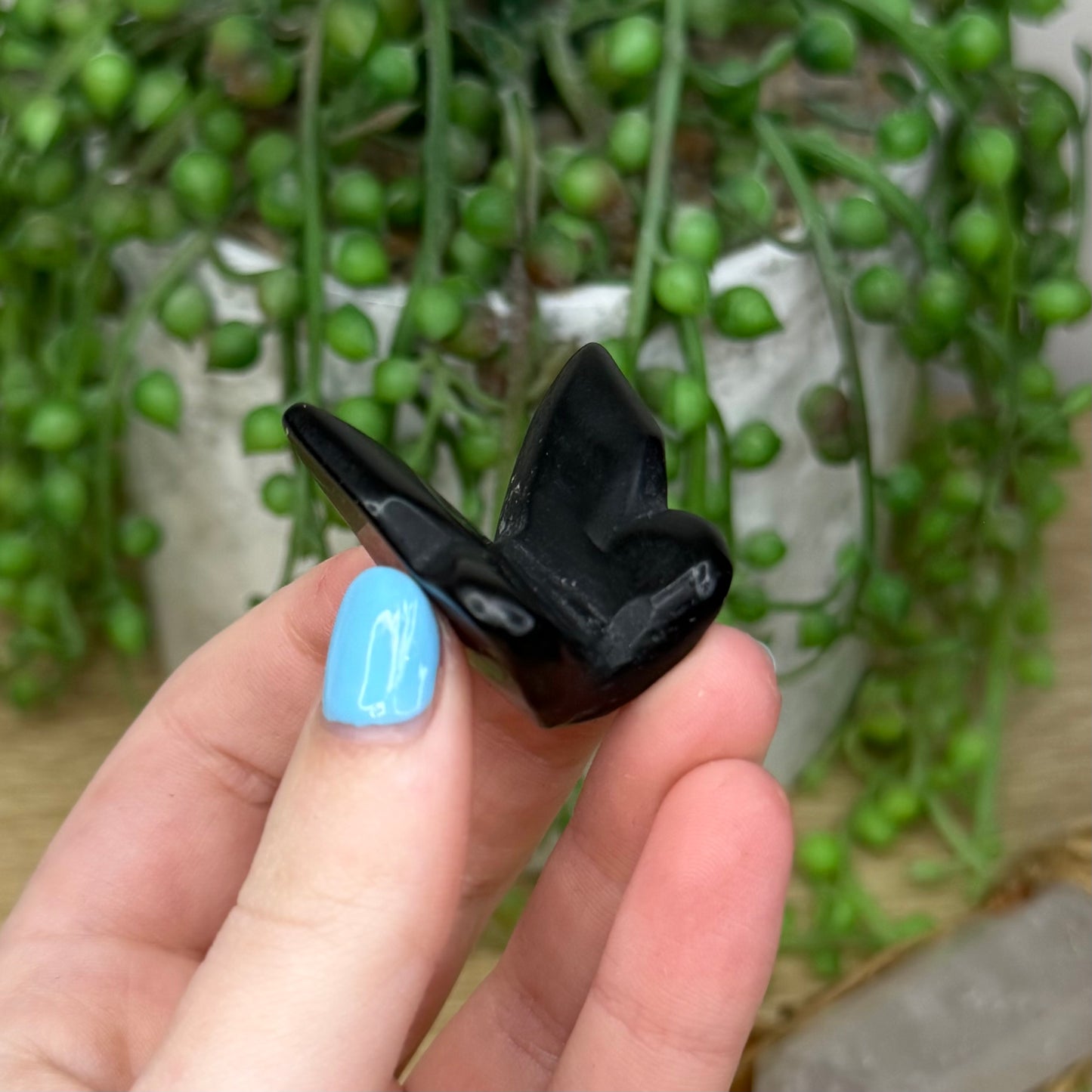Black Obsidian Butterfly (263A)