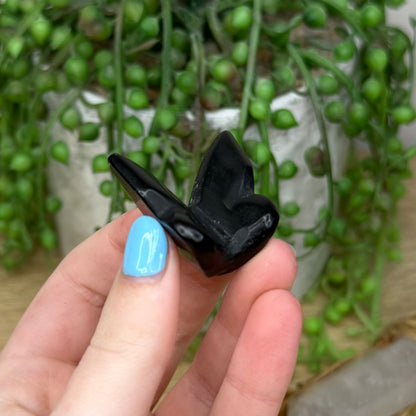 Black Obsidian Butterfly (263A)