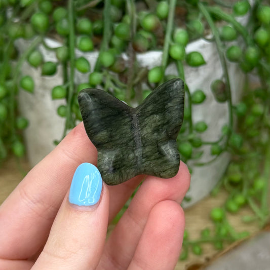 Green Jade Butterfly (266A)