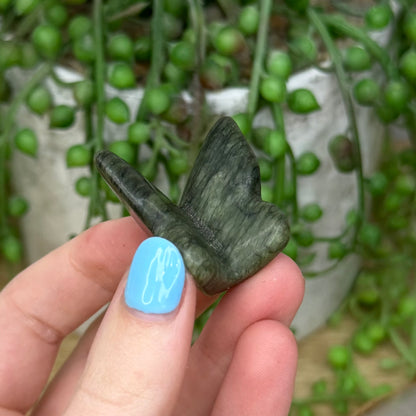 Green Jade Butterfly (266A)