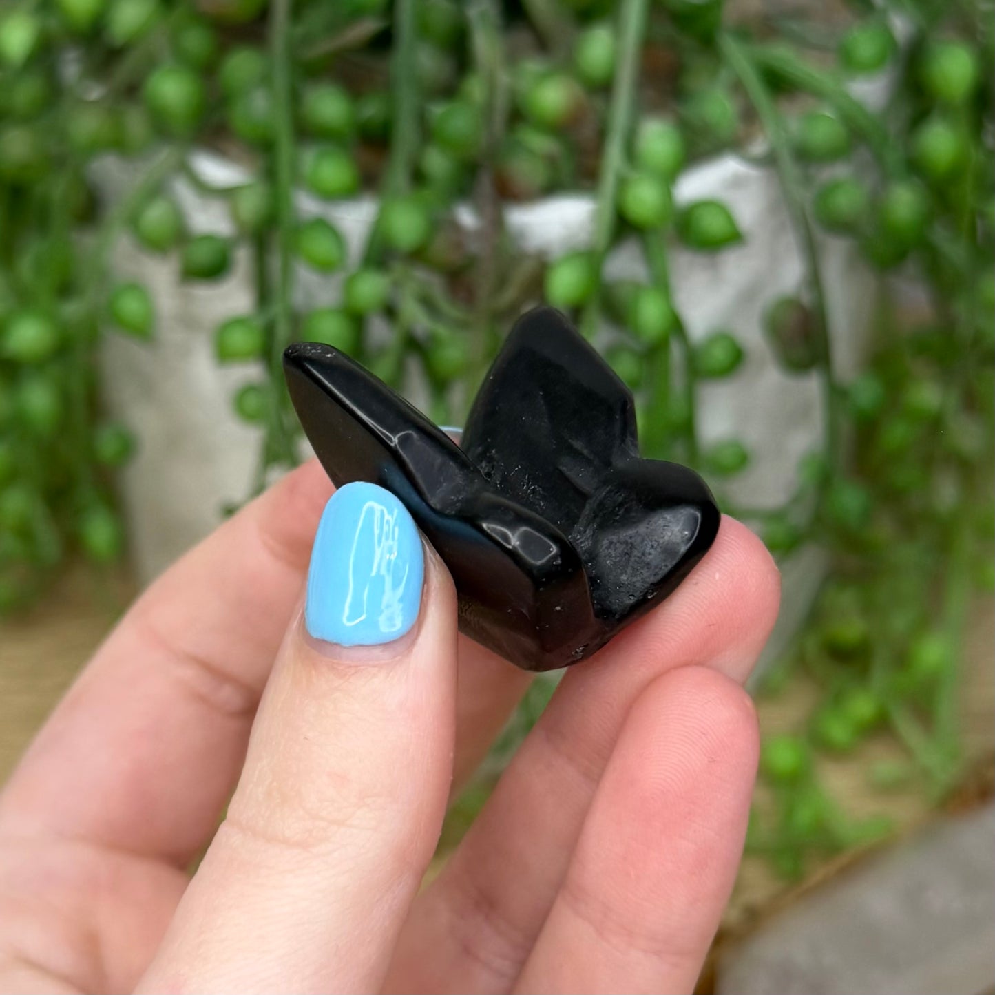 Black Obsidian Butterfly (264A)