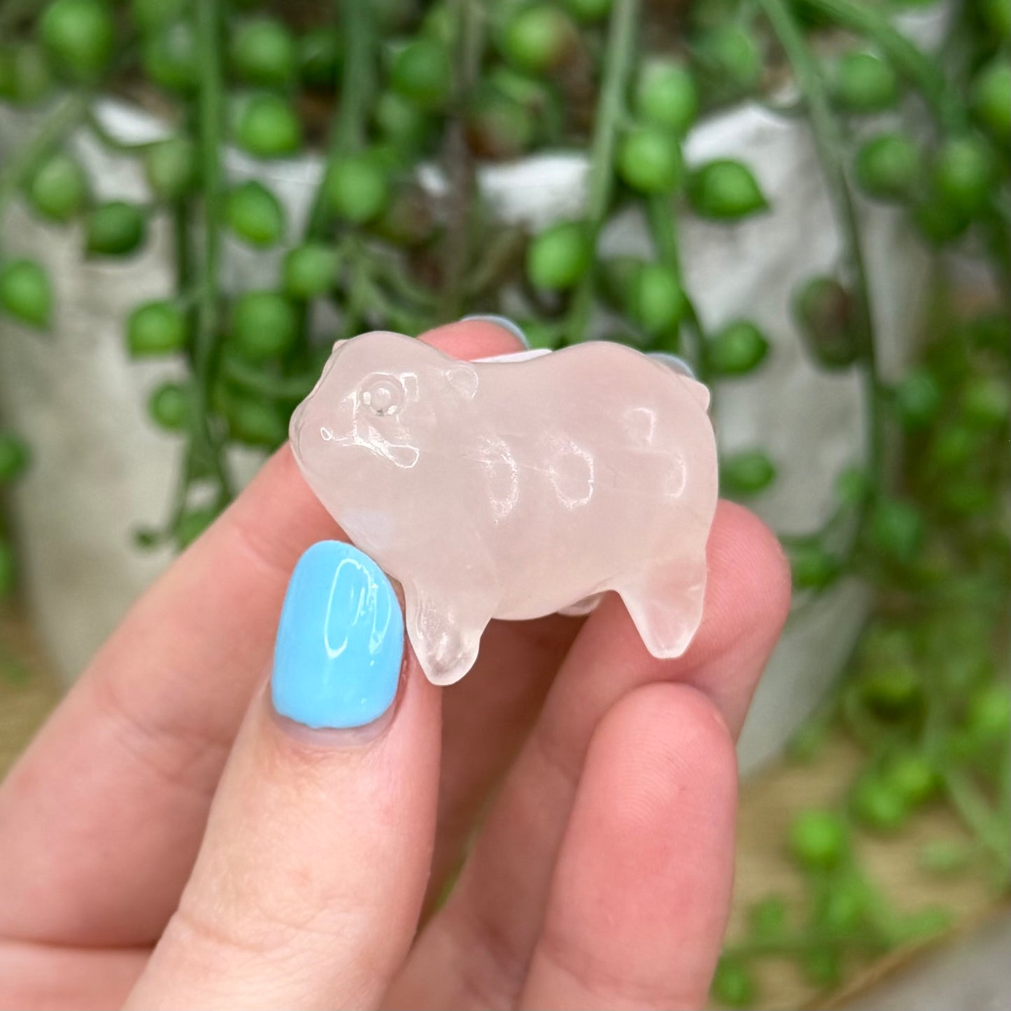 Rose Quartz Pig (Z884)