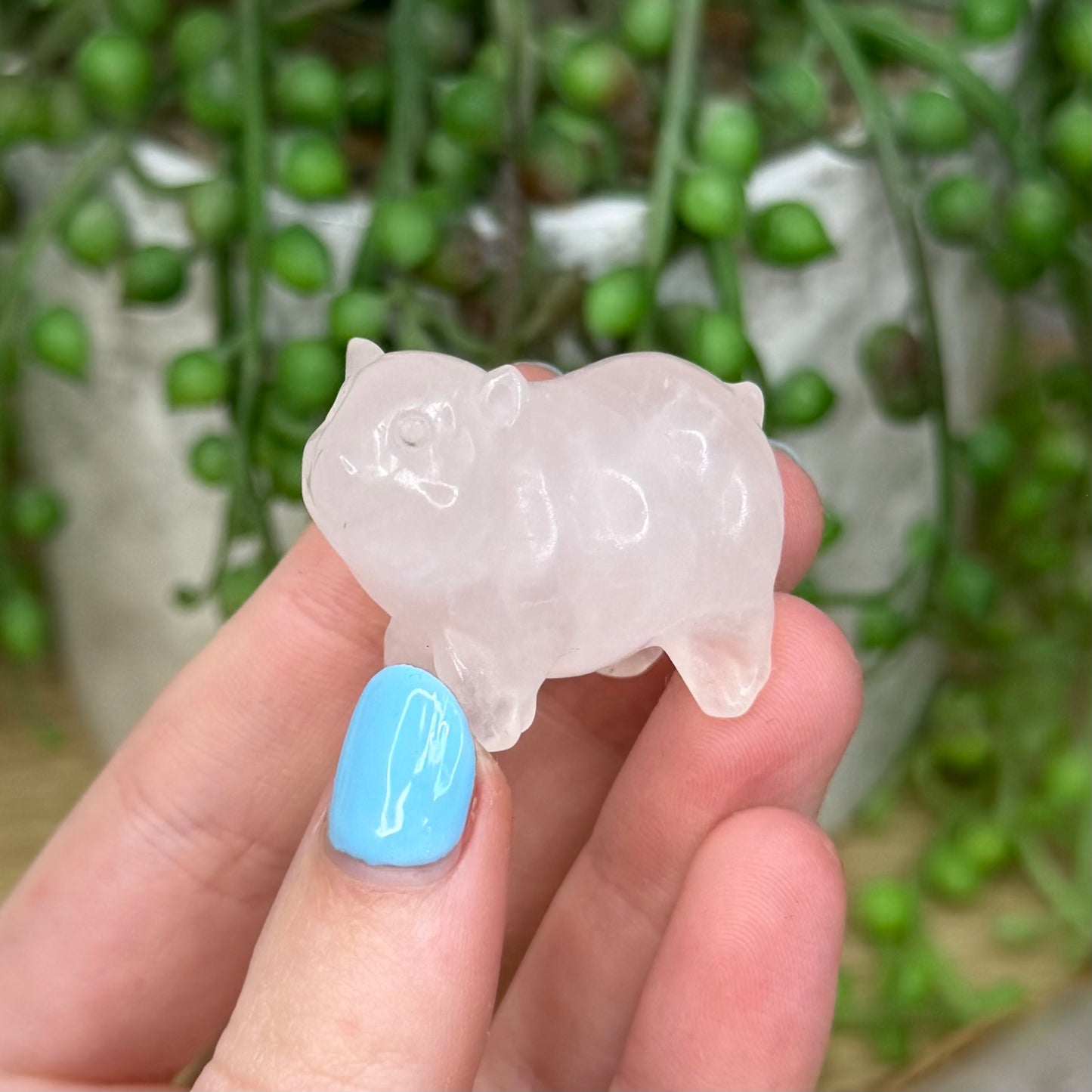 Rose Quartz Pig (Z885)