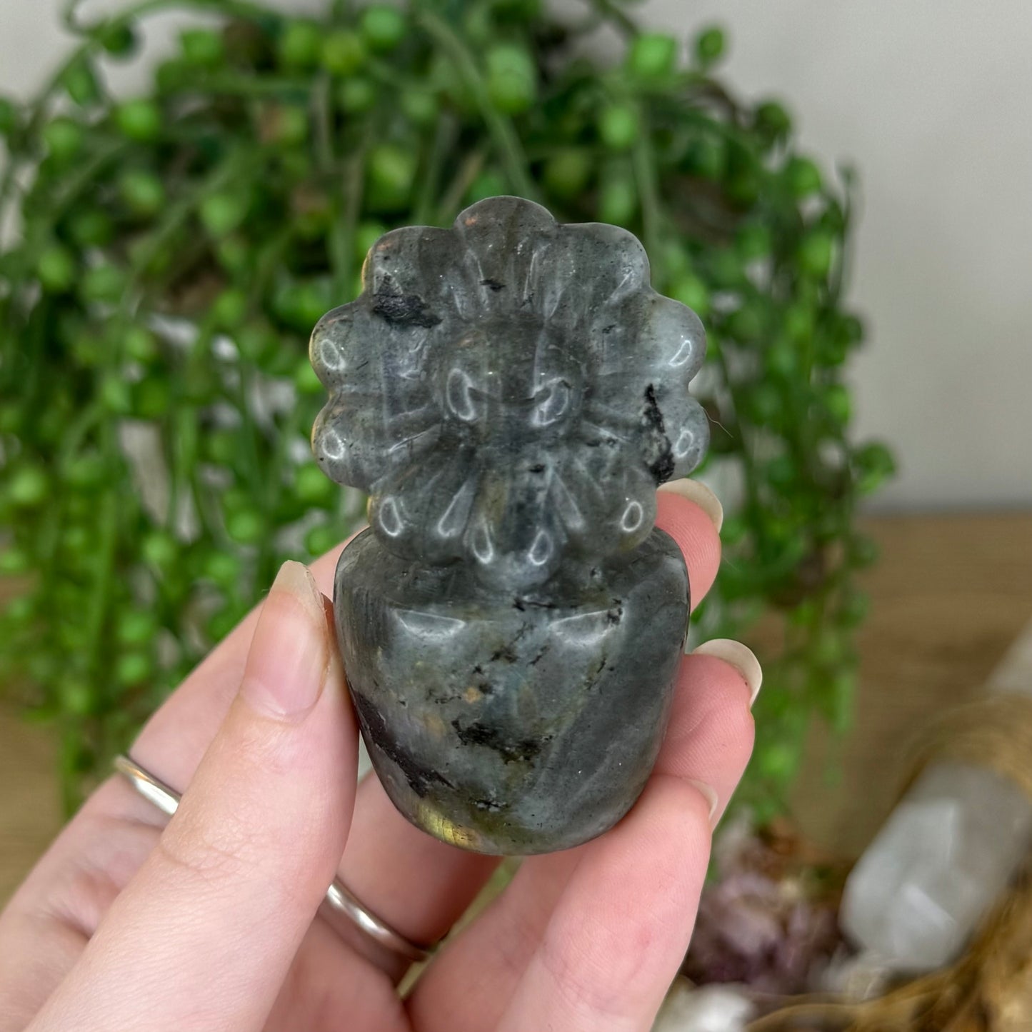 Labradorite Flower Pot (Q33)