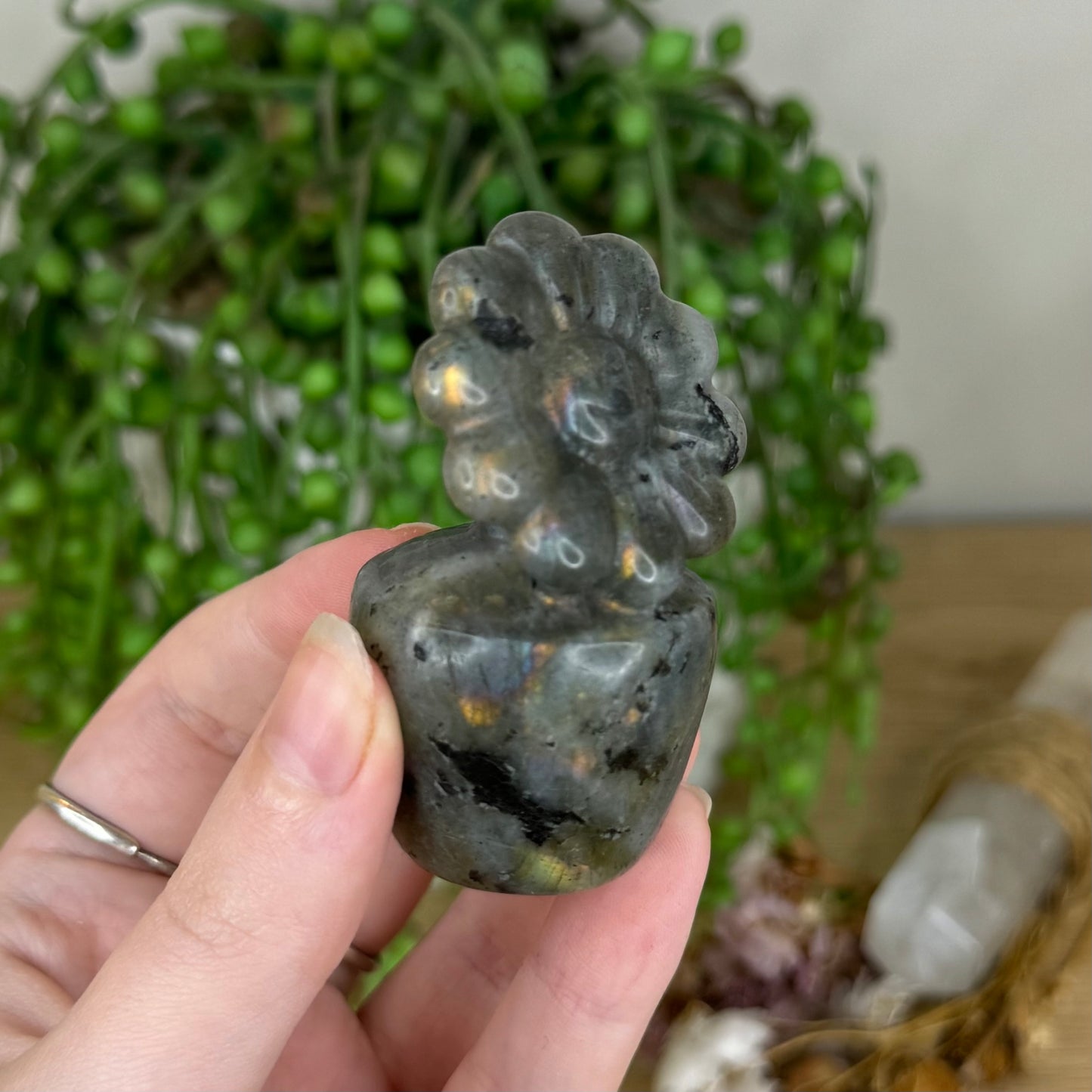 Labradorite Flower Pot (Q33)
