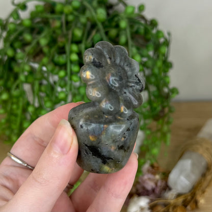 Labradorite Flower Pot (Q33)