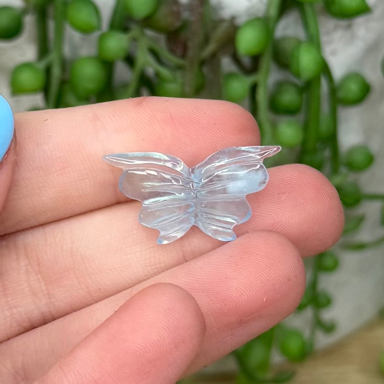 Aquamarine Mini Butterfly 2