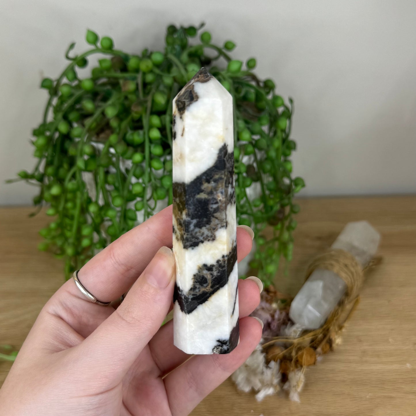 Black Zebra Jasper Point (Q82)
