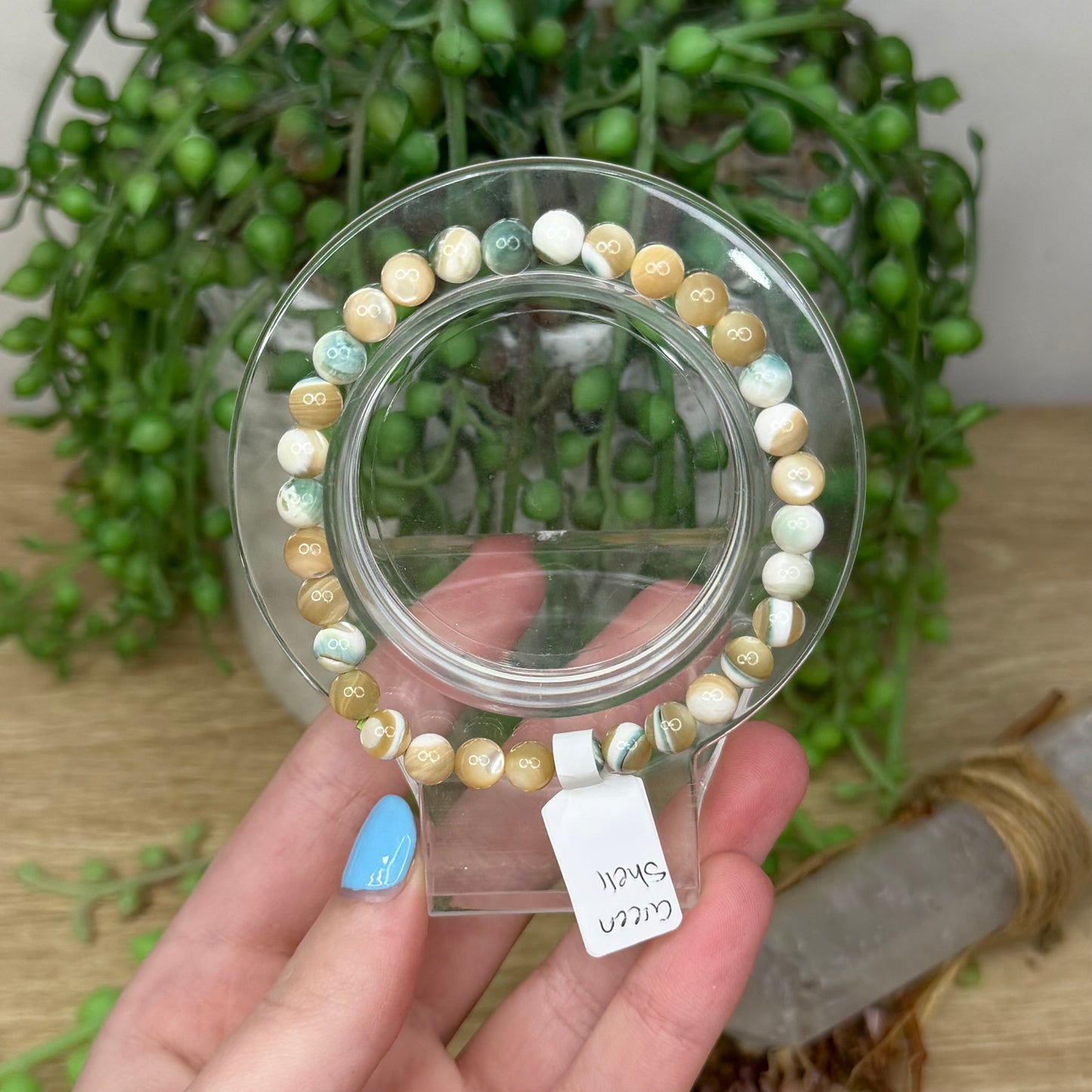 Green Shell Bracelet (Z413) (Z412)