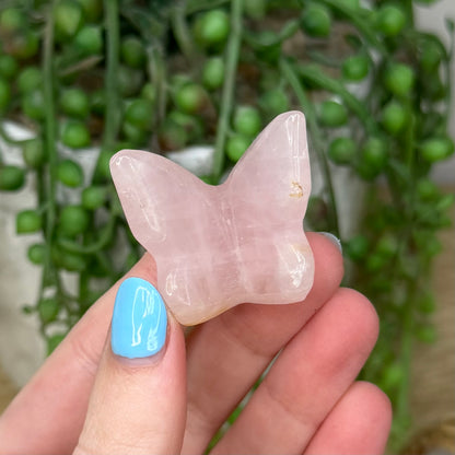 Rose Quartz Butterfly (257A)