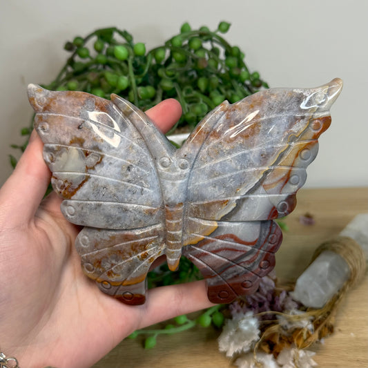 Mexican Crazy Lace Agate Butterfly (I536)