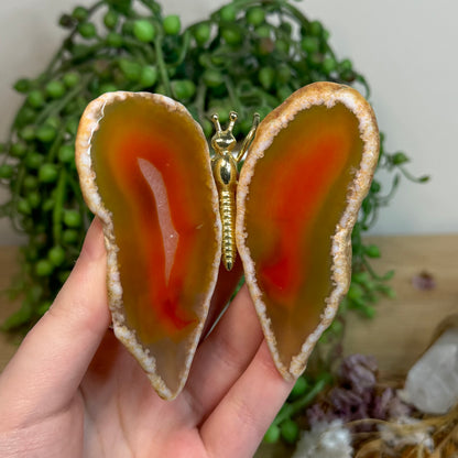 Orange Agate Slice Butterfly