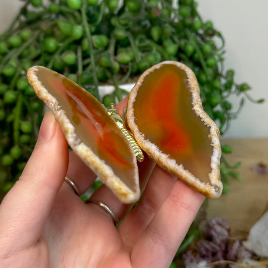 Orange Agate Slice Butterfly