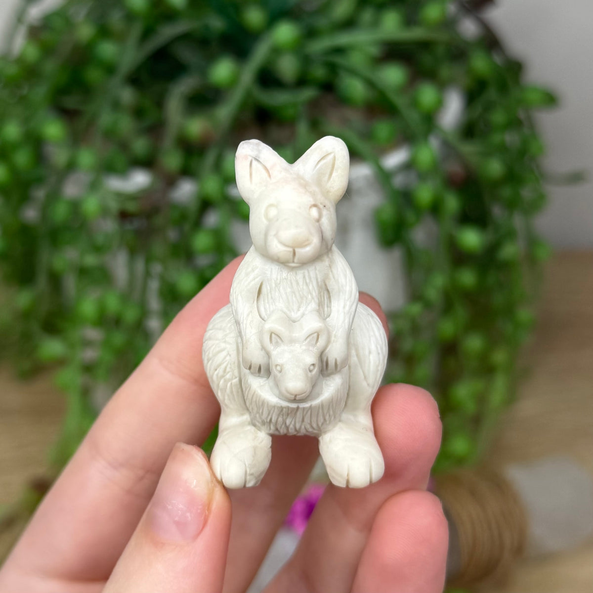 Alashan Kangaroo 1