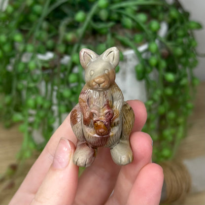 Alashan Kangaroo 2
