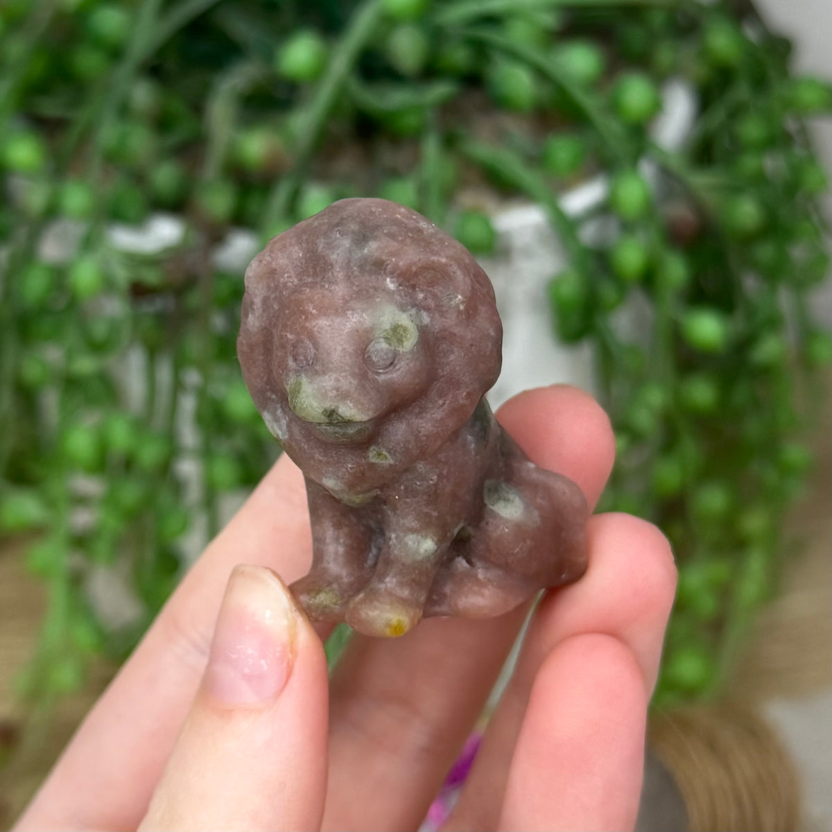 Plum Tourmaline Lion (502A)