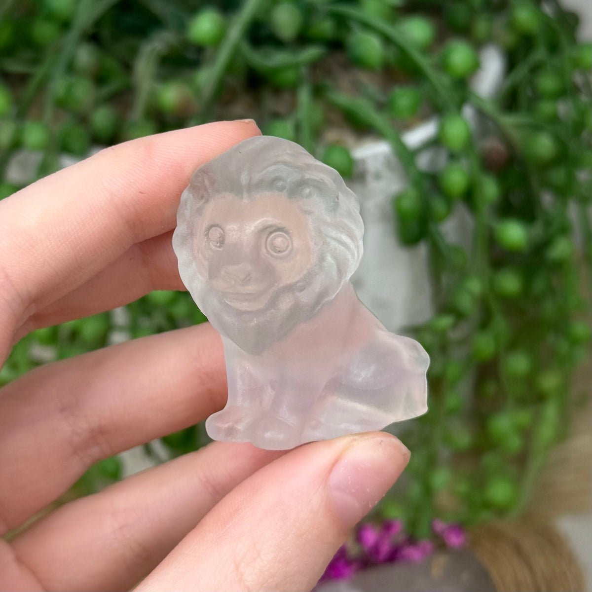 Fluorite Lion (496A)