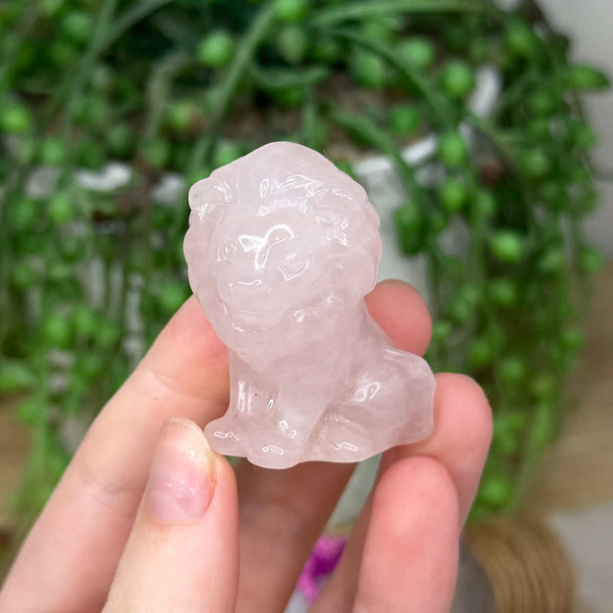 Rose Quartz Lion (498A)