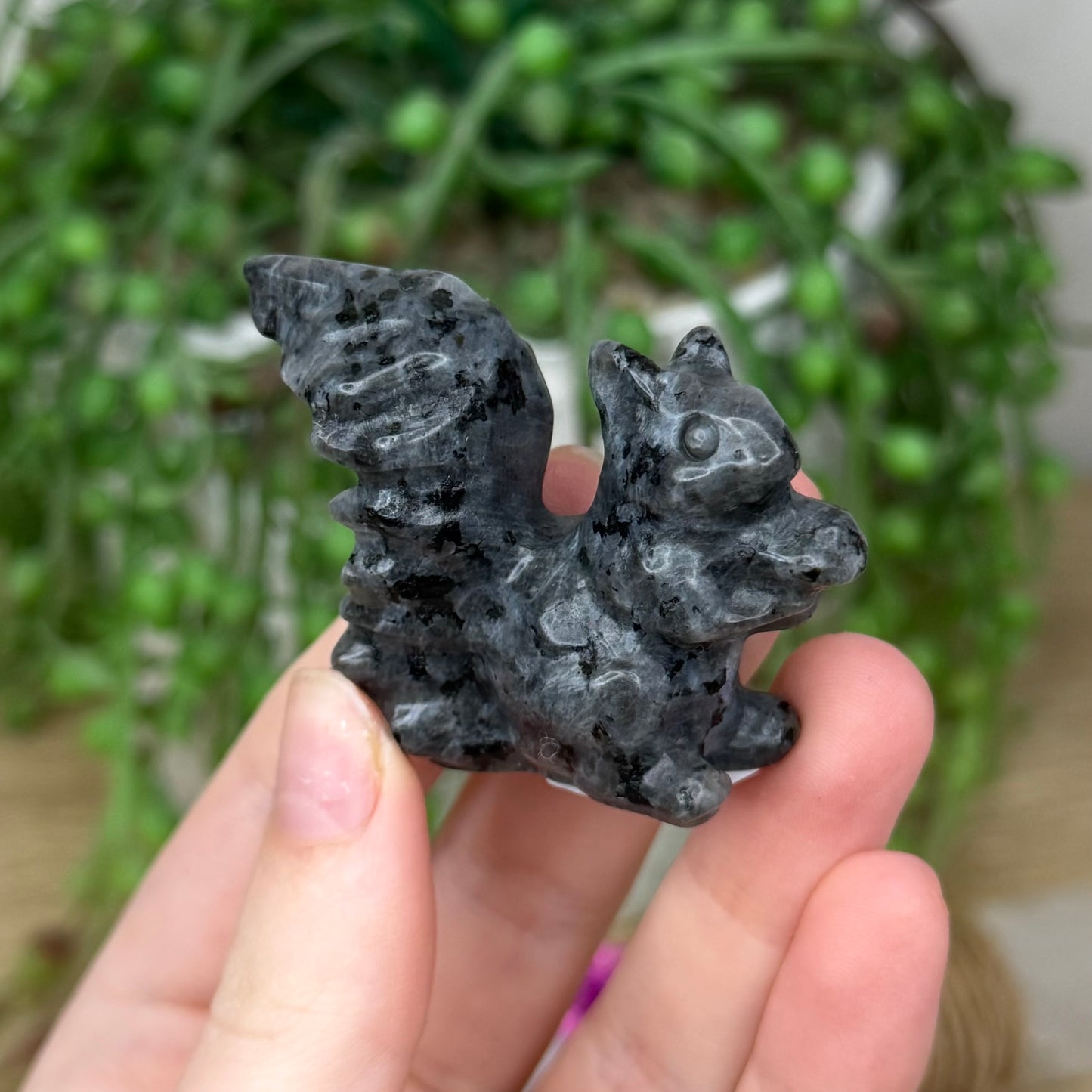 Larvikite Squirrel (507A)