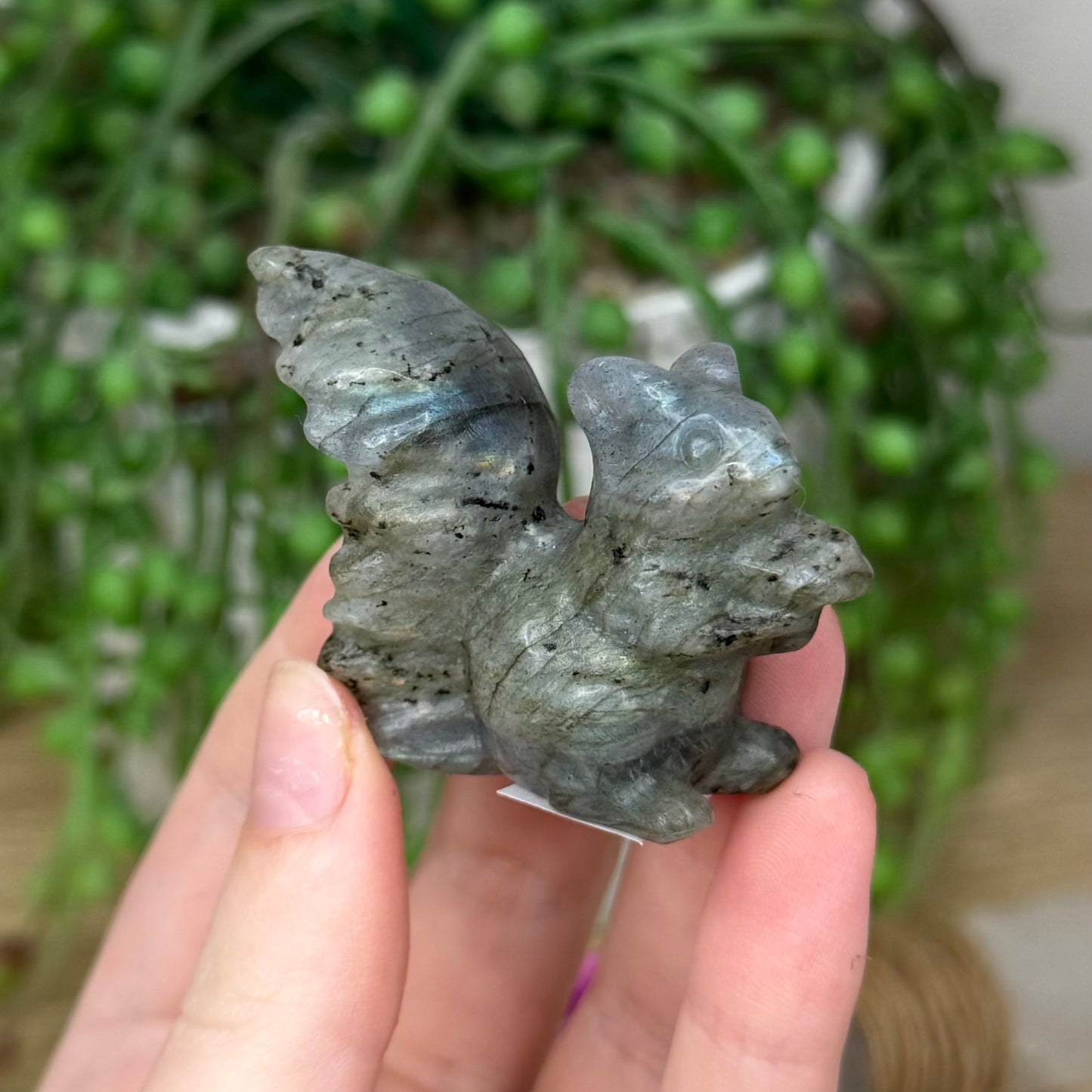 Labradorite Squirrel (513A)