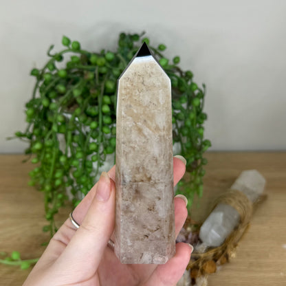Black Agate Point (P990)